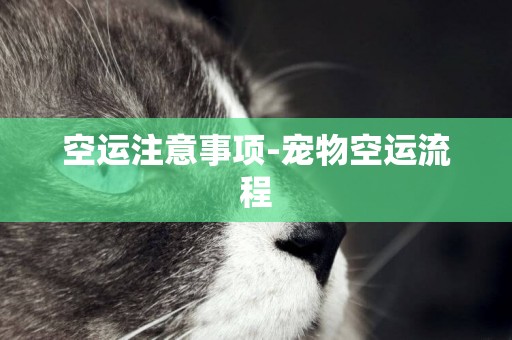 空運注意事項-寵物空運流程