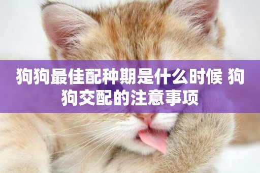 狗狗最佳配種期是什么時候 狗狗交配的注意事項