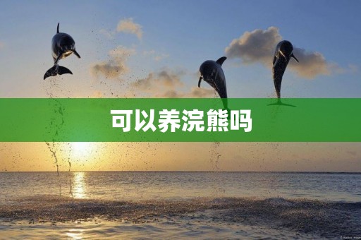 可以養浣熊嗎