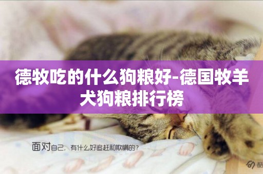 德牧吃的什么狗糧好-德國牧羊犬狗糧排行榜