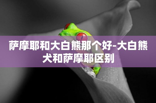 薩摩耶和大白熊那個好-大白熊犬和薩摩耶區別