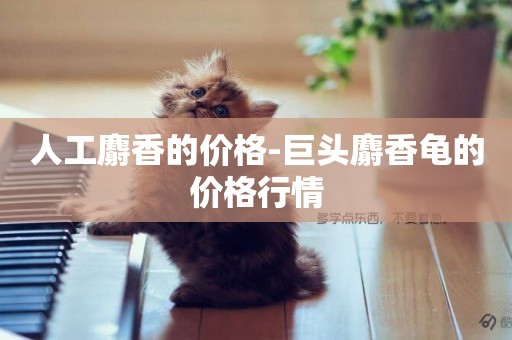 人工麝香的價格-巨頭麝香龜的價格行情