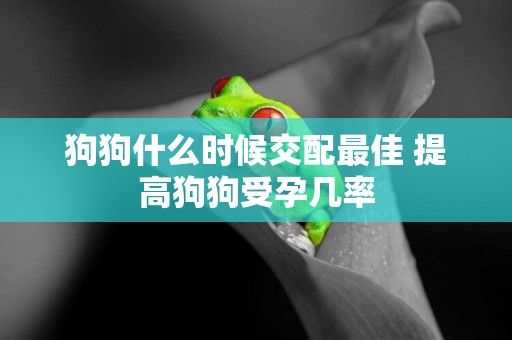 狗狗什么時候交配最佳 提高狗狗受孕幾率