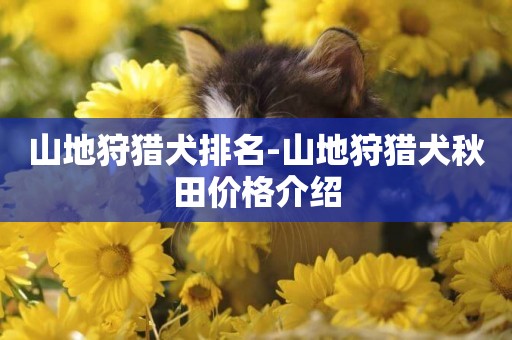 山地狩獵犬排名-山地狩獵犬秋田價格介紹