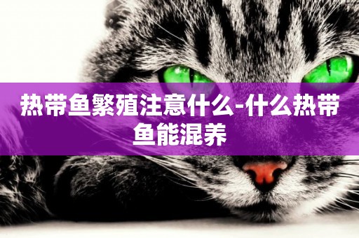 熱帶魚繁殖注意什么-什么熱帶魚能混養