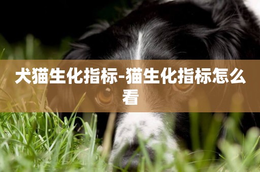 犬貓生化指標-貓生化指標怎么看