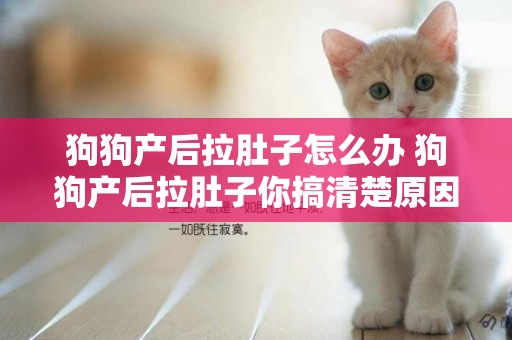 狗狗產后拉肚子怎么辦 狗狗產后拉肚子你搞清楚原因沒？