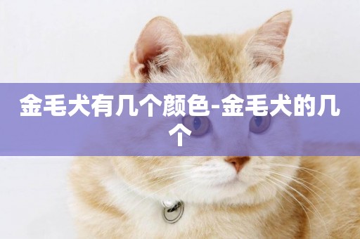 金毛犬有幾個顏色-金毛犬的幾個