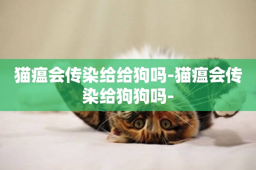 貓瘟會傳染給給狗嗎-貓瘟會傳染給狗狗嗎-