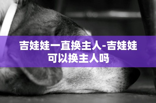 吉娃娃一直換主人-吉娃娃可以換主人嗎