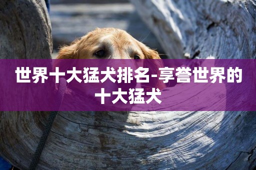 世界十大猛犬排名-享譽世界的十大猛犬
