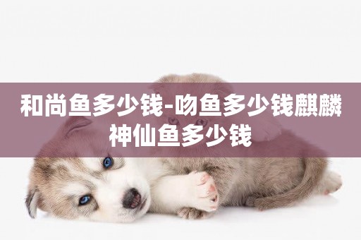 和尚魚多少錢-吻魚多少錢麒麟神仙魚多少錢