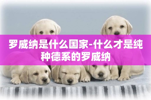 羅威納是什么國家-什么才是純種德系的羅威納