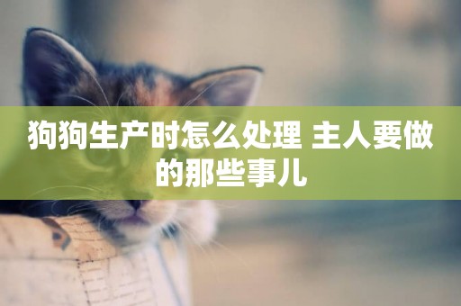 狗狗生產時怎么處理 主人要做的那些事兒 狗狗生產時怎么處理 主人要做的那些事兒