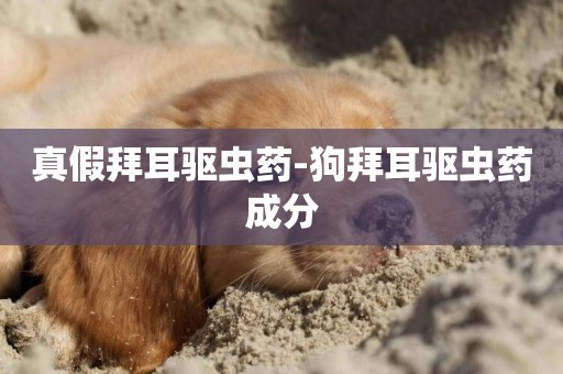 真假拜耳驅蟲藥-狗拜耳驅蟲藥成分