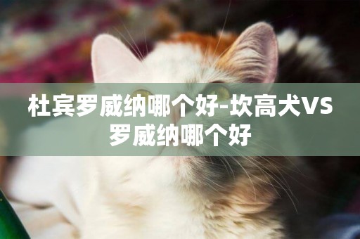 杜賓羅威納哪個好-坎高犬VS羅威納哪個好