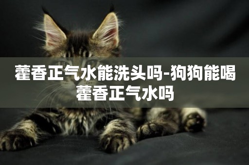 藿香正氣水能洗頭嗎-狗狗能喝藿香正氣水嗎