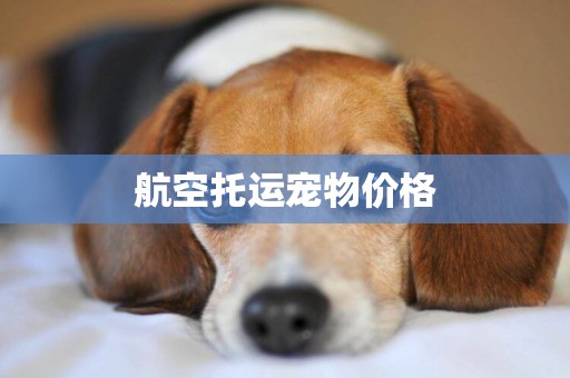 航空托運寵物價格