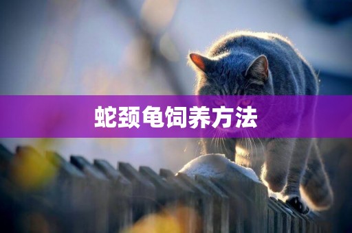 蛇頸龜飼養方法