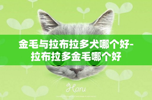 金毛與拉布拉多犬哪個好-拉布拉多金毛哪個好