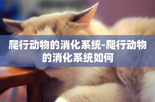 爬行動物的消化系統-爬行動物的消化系統如何