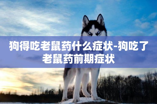 狗得吃老鼠藥什么癥狀-狗吃了老鼠藥前期癥狀
