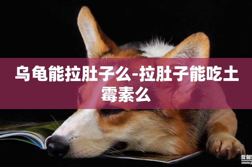 烏龜能拉肚子么-拉肚子能吃土霉素么