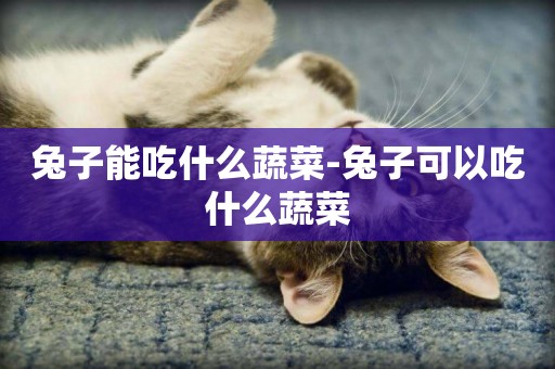 兔子能吃什么蔬菜-兔子可以吃什么蔬菜