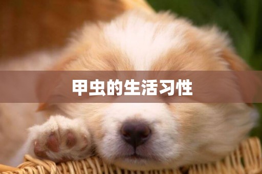 甲蟲的生活習性