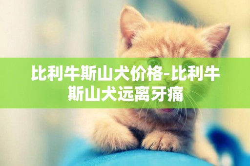 比利牛斯山犬價格-比利牛斯山犬遠離牙痛