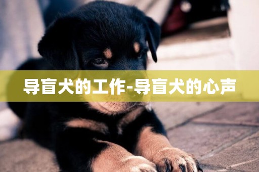 導盲犬的工作-導盲犬的心聲