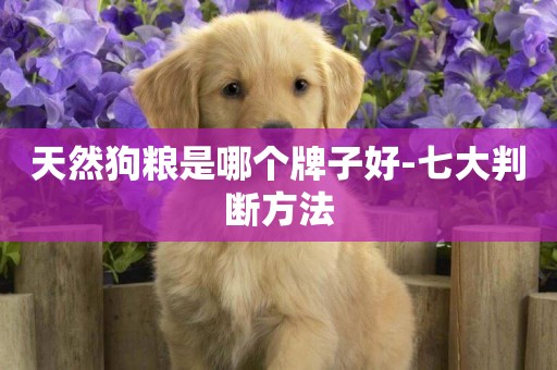 天然狗糧是哪個牌子好-七大判斷方法