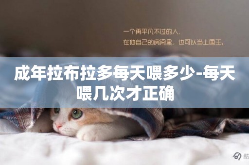 成年拉布拉多每天喂多少-每天喂幾次才正確