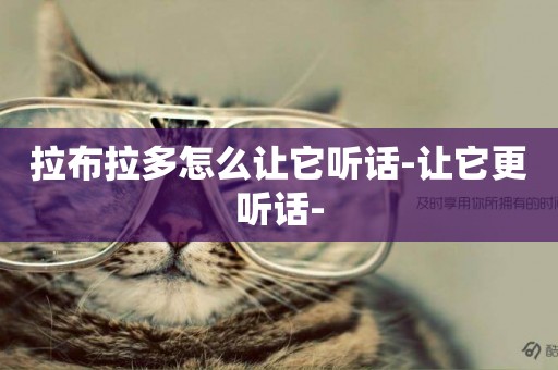 拉布拉多怎么讓它聽話-讓它更聽話-