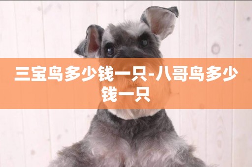 三寶鳥多少錢一只-八哥鳥多少錢一只
