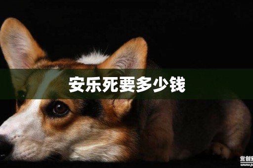 安樂死要多少錢