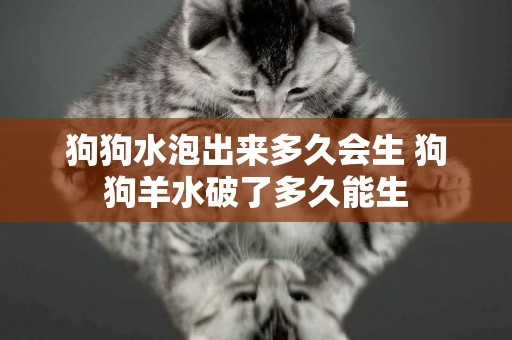狗狗水泡出來多久會生 狗狗羊水破了多久能生