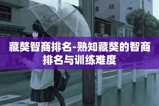 藏獒智商排名-熟知藏獒的智商排名與訓練難度