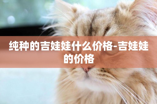 純種的吉娃娃什么價格-吉娃娃的價格