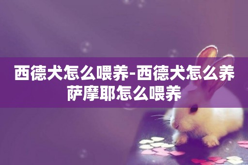 西德犬怎么喂養-西德犬怎么養薩摩耶怎么喂養