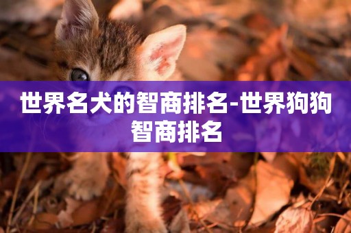 世界名犬的智商排名-世界狗狗智商排名