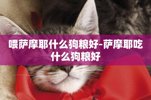 喂薩摩耶什么狗糧好-薩摩耶吃什么狗糧好