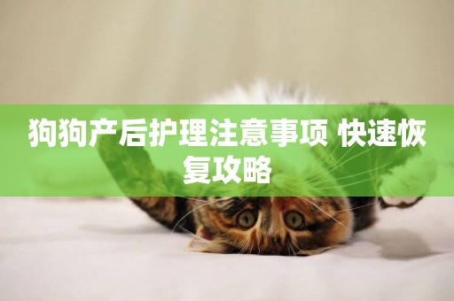 狗狗產后護理注意事項 快速恢復攻略