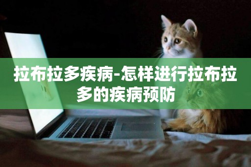拉布拉多疾病-怎樣進行拉布拉多的疾病預防
