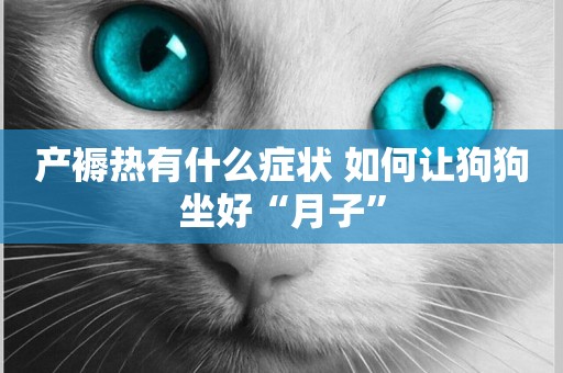 產褥熱有什么癥狀 如何讓狗狗坐好“月子”