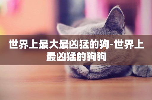 世界上最大最兇猛的狗-世界上最兇猛的狗狗