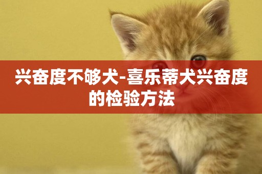 興奮度不夠犬-喜樂蒂犬興奮度的檢驗方法
