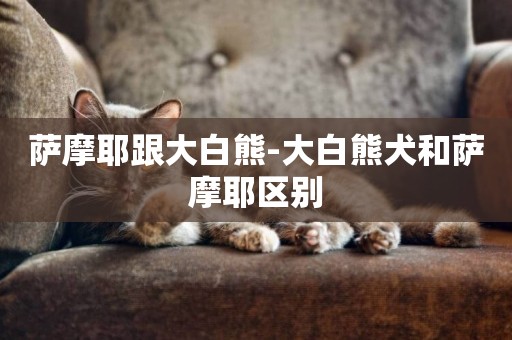 薩摩耶跟大白熊-大白熊犬和薩摩耶區別