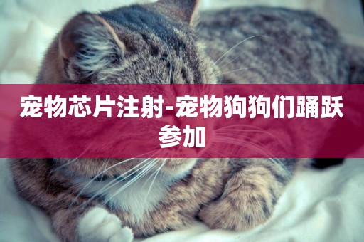 寵物芯片注射-寵物狗狗們踴躍參加