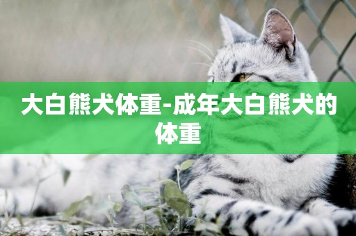 大白熊犬體重-成年大白熊犬的體重